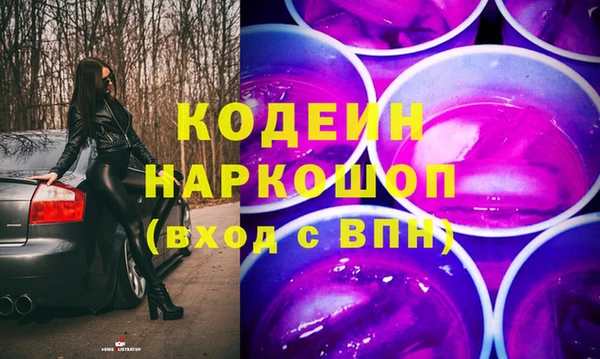 молекула духа Туринск