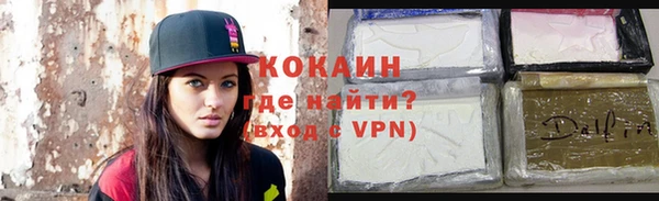 молекула духа Туринск