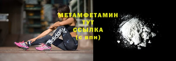 молекула духа Туринск