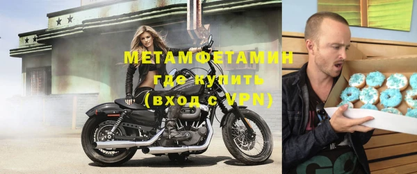 молекула духа Туринск