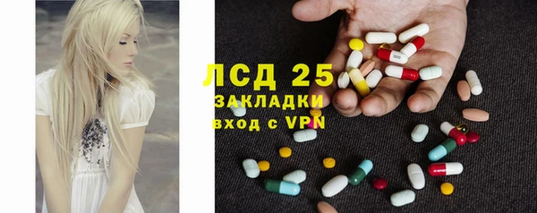 молекула духа Туринск