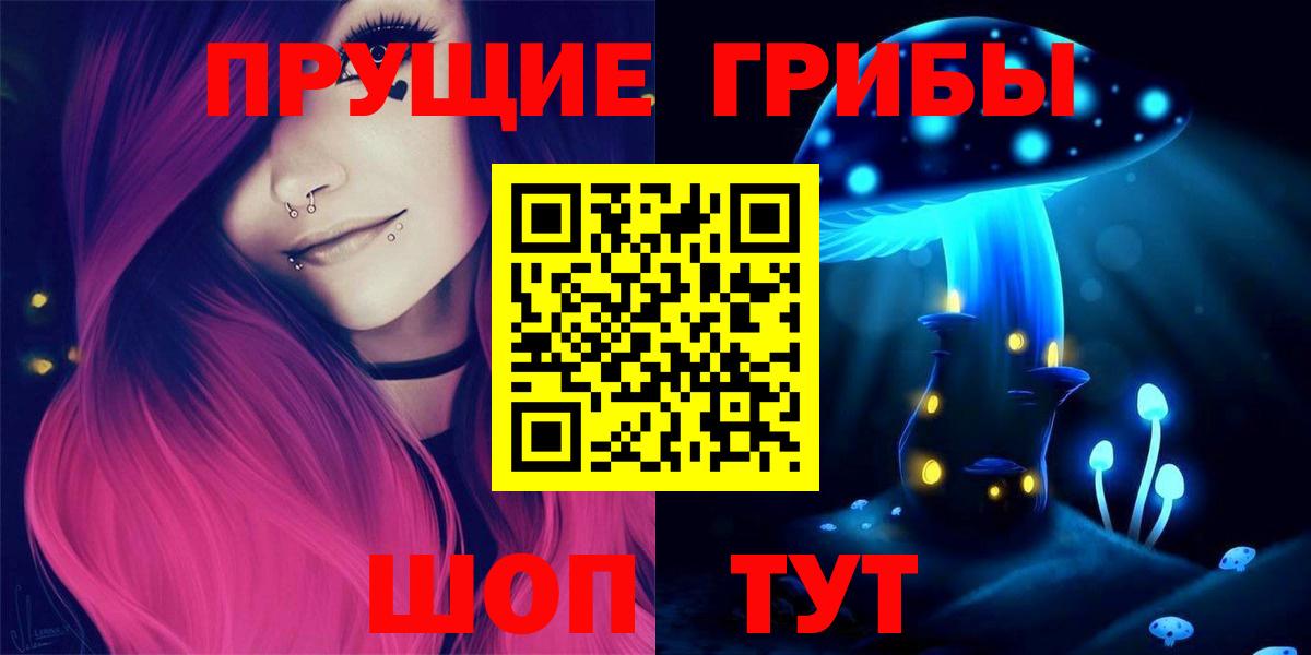 Галлюциногенные грибы Psilocybe Кемерово